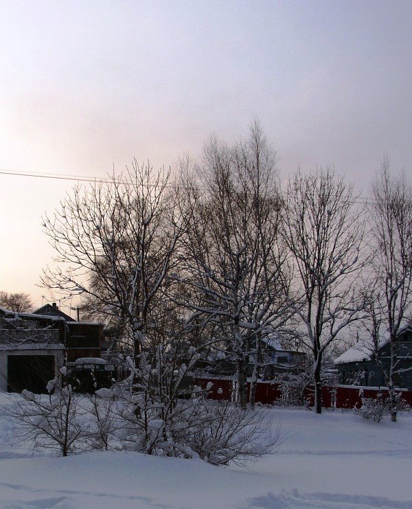 зимняя деревня, Артем