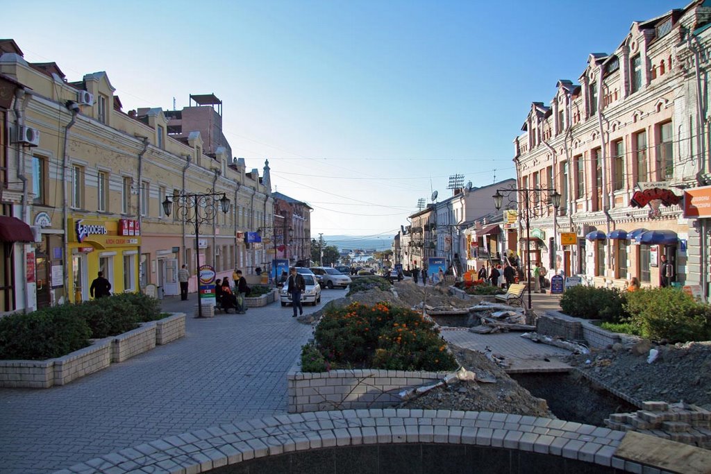 улица адмирала Фокина (admiral Fokins street), Владивосток