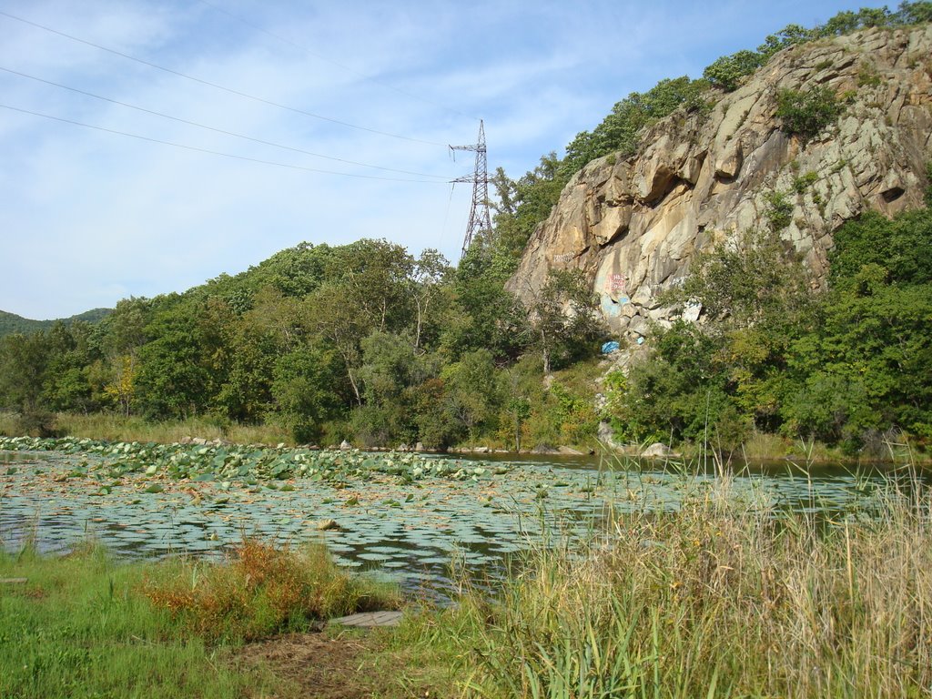озеро с кувшинками возле Глазовки, Горный