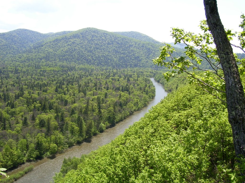 река Павловка, Горный