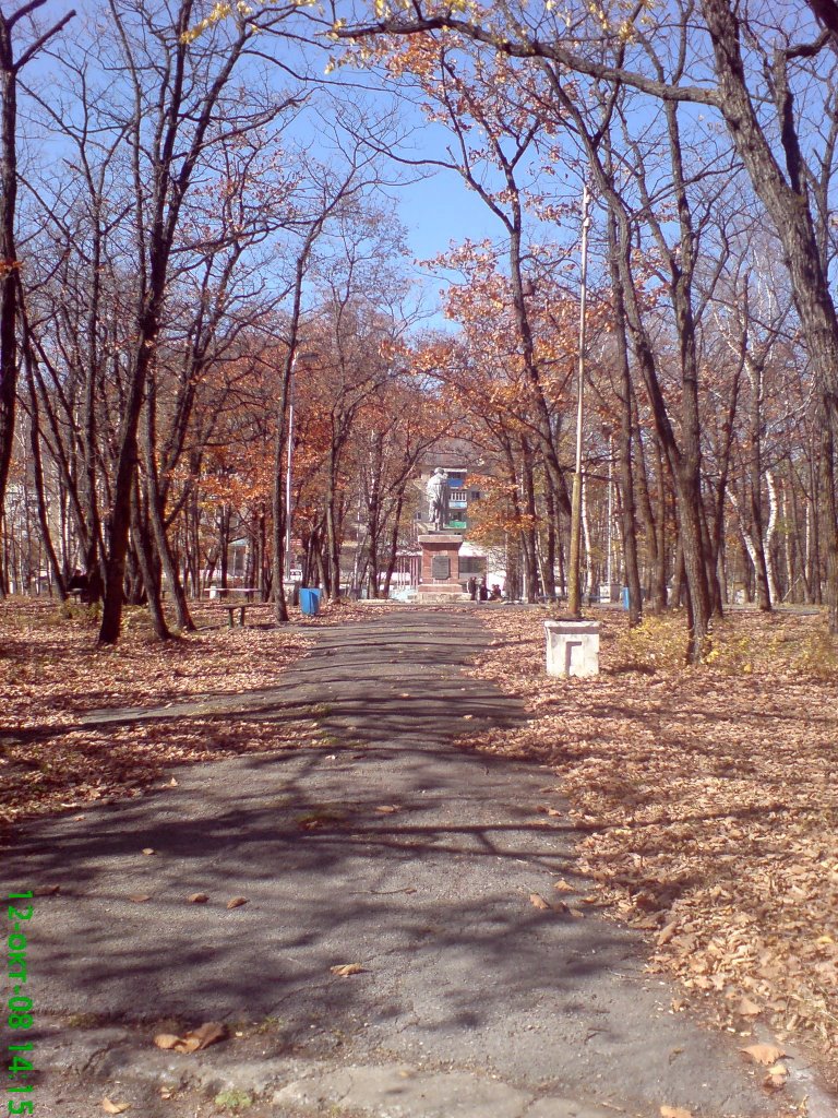 Парк Пушкина, Дальнегорск