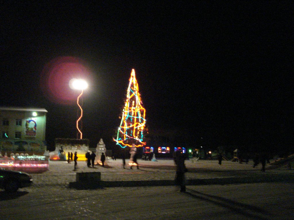 Новогодняя елка 2009, Дальнереченск