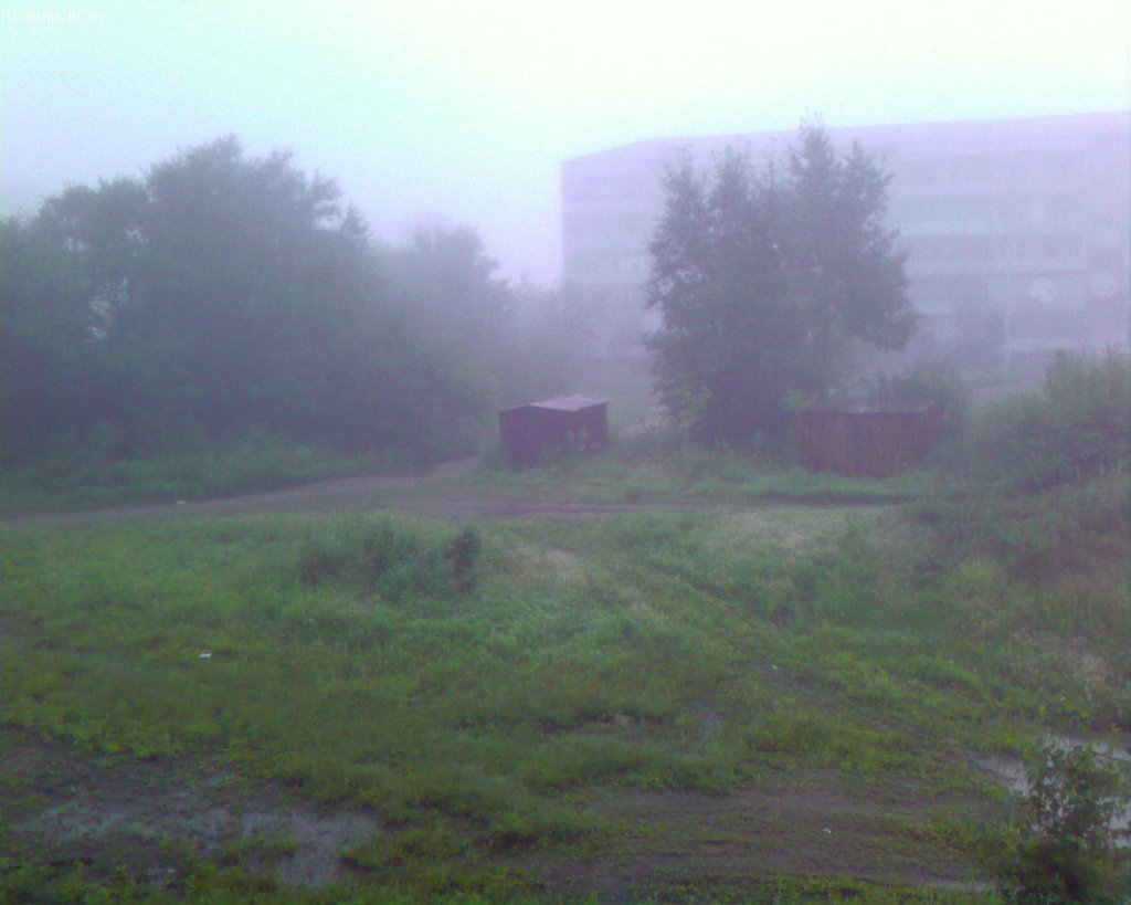 Утренний туман, Дальнереченск