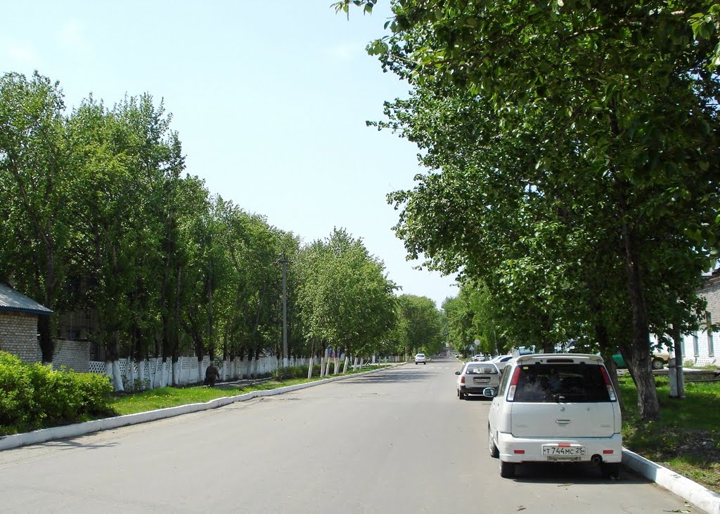 Улица Советская, Дальнереченск