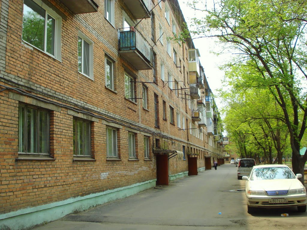 Подъезды домов по ул.Дальнереченской 59 и 59а, Дальнереченск