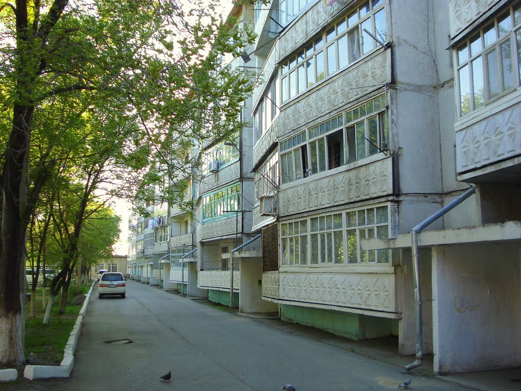 Вдоль дома по ул.Ленина 71а, Дальнереченск