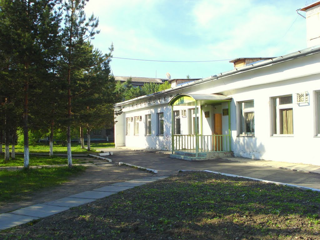 Городская библиотека, Дальнереченск