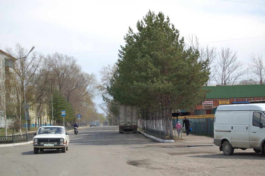 Перед рынком (дорога к федеральной трассе Хабаровск-Владивосток), Дальнереченск