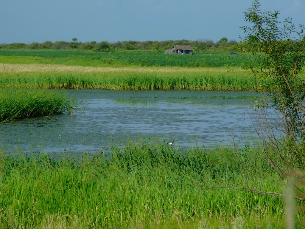 湿地, Кировский
