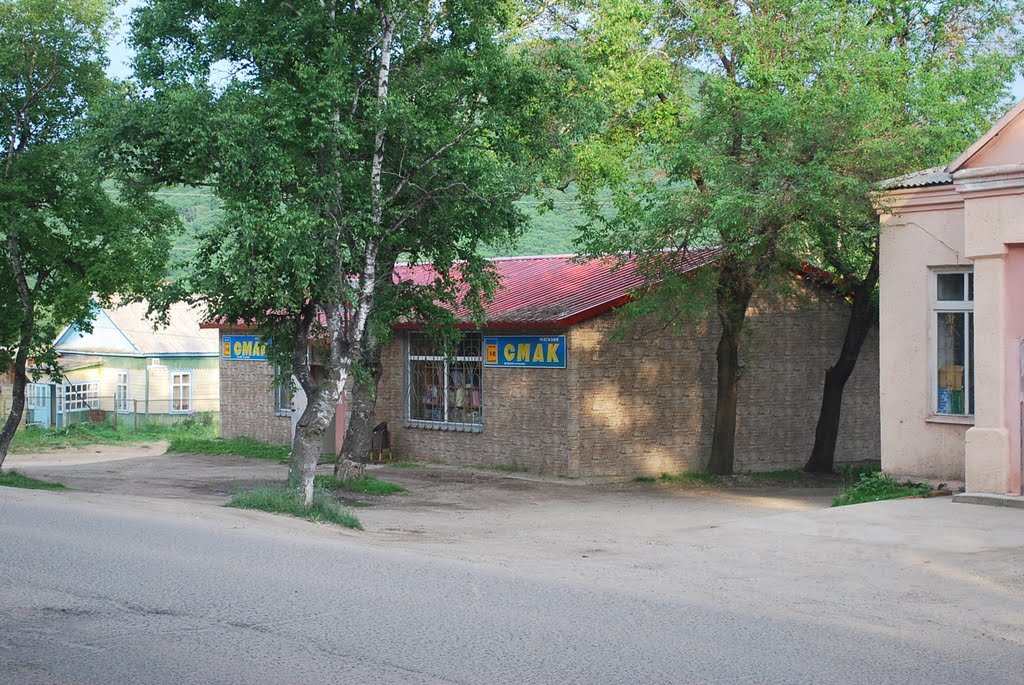 Поселок Ольга: svinchukov - ЖЖ