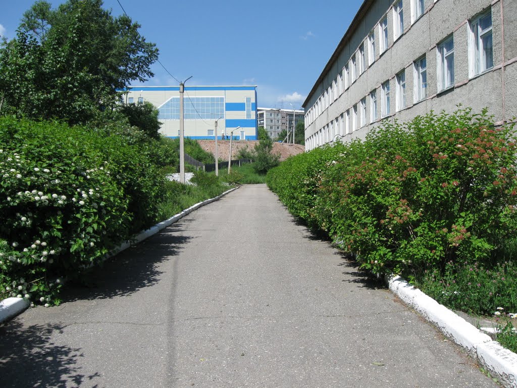 Школа 6, Партизанск