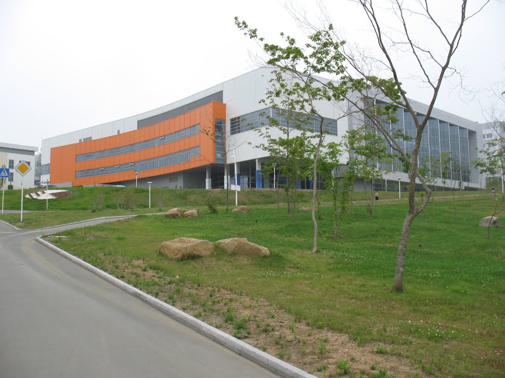 Спортивный комплекс, кампус ДВФУ, Русский