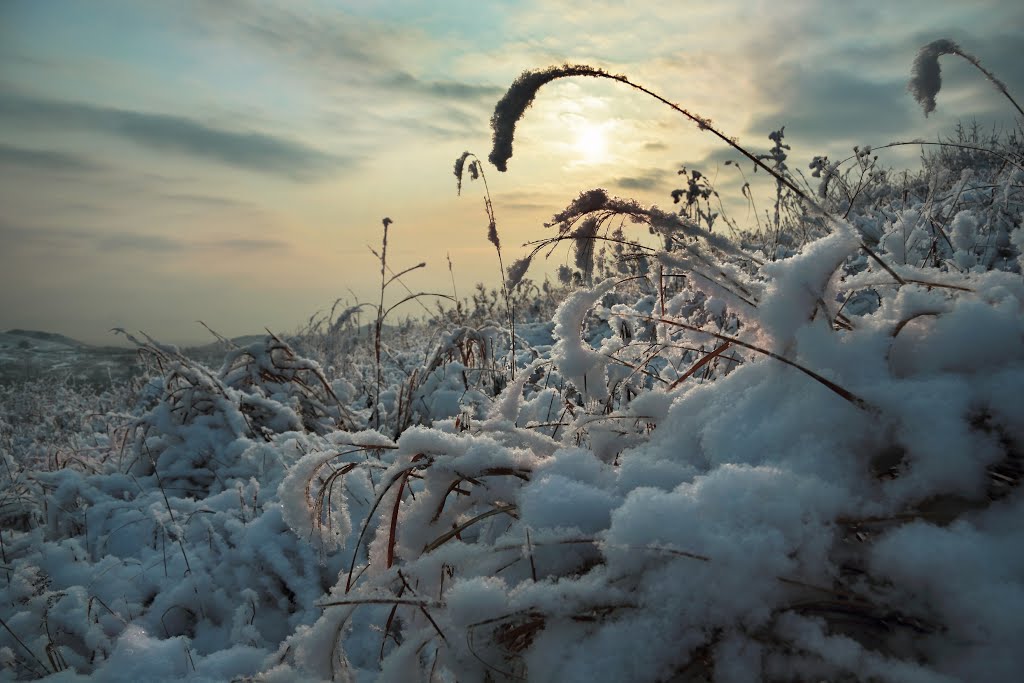 Зима, Славянка