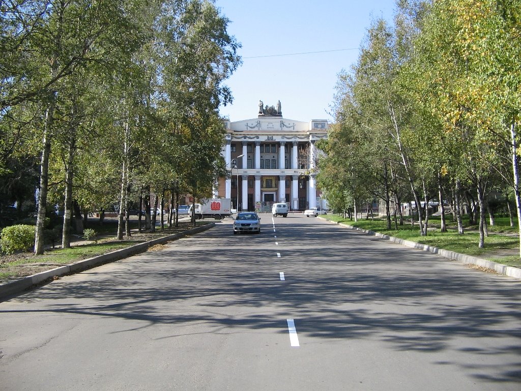 улица Суханова и ДОРА, Уссурийск