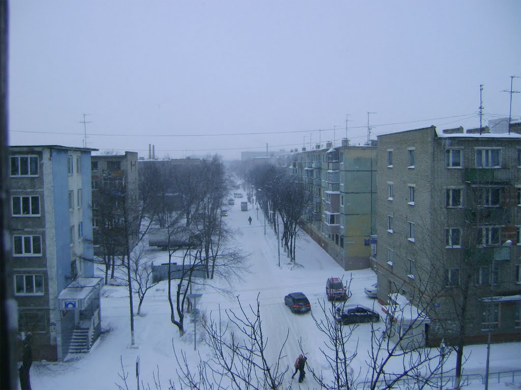 Снегопад/Snowfall, Уссурийск
