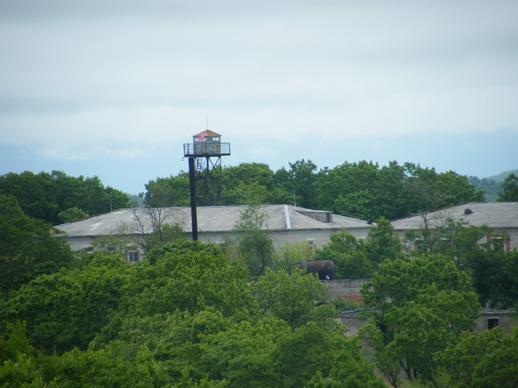 Фотография № 1 - " image (1).jpg", место сьемки - Хасан (Хасан). Россия, Приморс