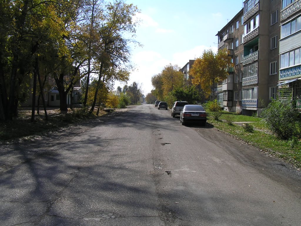 На ул.Советскую (10.2010), Черниговка