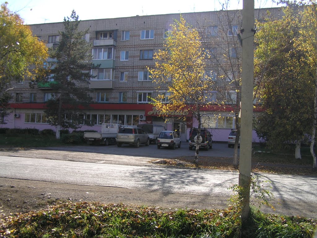 Дом (10.2010), Черниговка