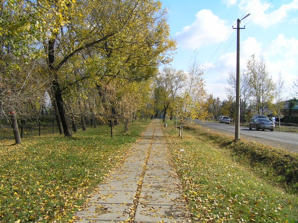 К парку (10.2010), Черниговка