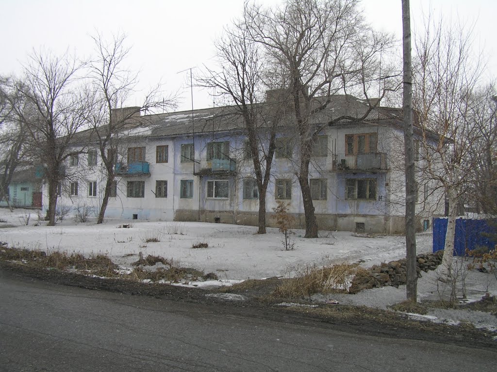 Дом (03.2011), Черниговка