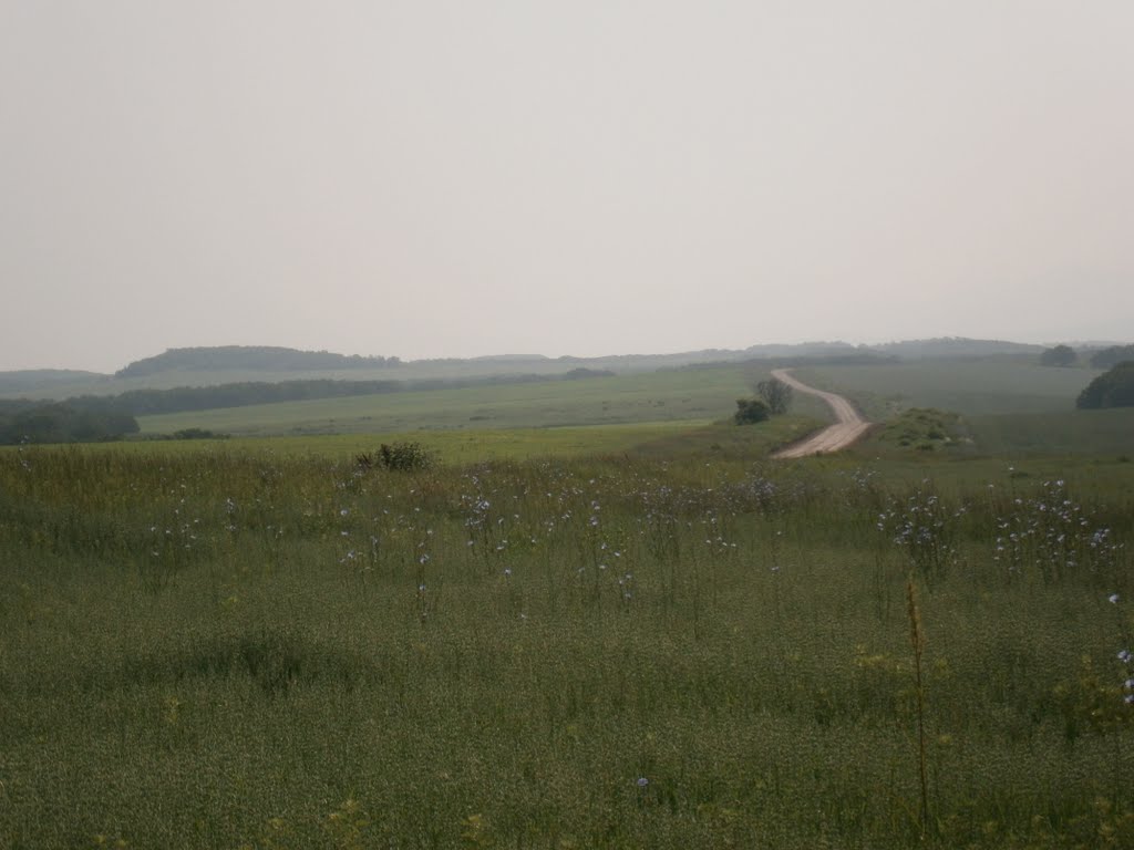дорога на горный хутор, Черниговка