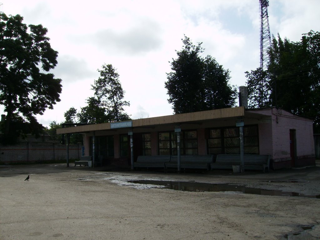Автобусная станция (), Гдов