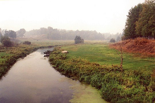 River Gdovka, Гдов