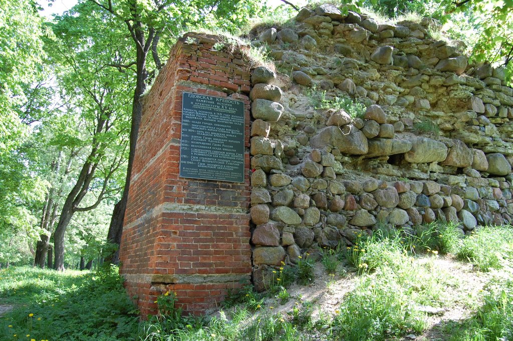 Fortress Gdov, Гдов