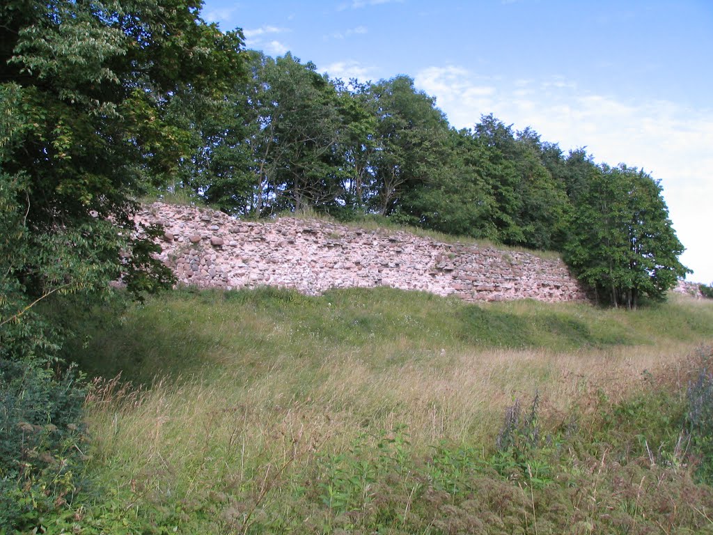 Фото Гдовская крепость (Gdov fortress) в городе Гдов