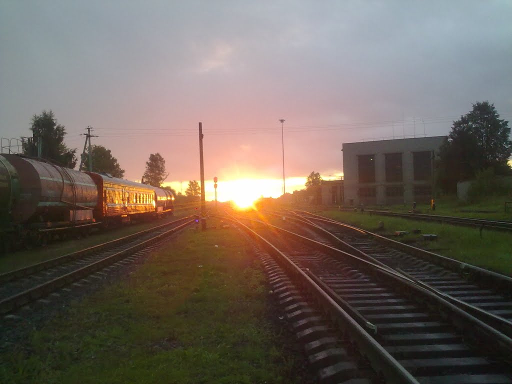 Восход над Бологовским парком (31 августа 2011 года)., Дно