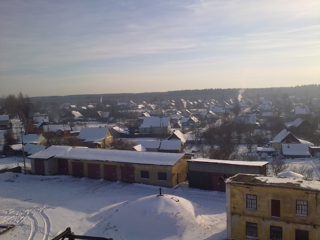 Вид с крыши ЭЧ (30 января 2012 года)., Дно