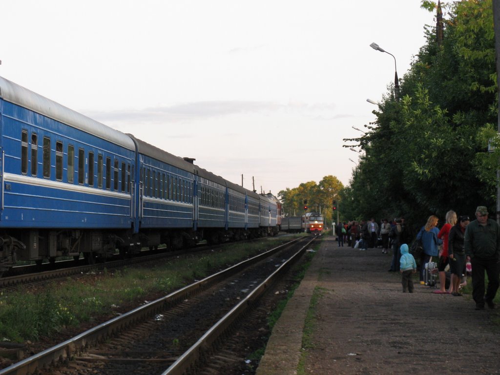 Прибывающий поезд № 688 Санкт Петербург-Великие Луки. 24 августа 2009 г., Локня