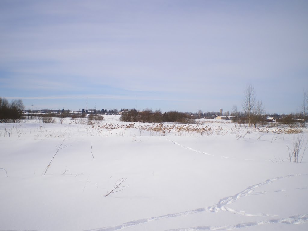 Вид на Локню. Зима 2011., Локня