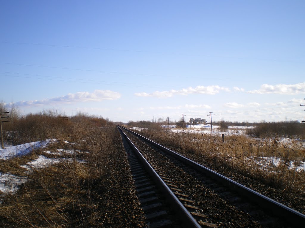 Железная дорога в Локне. Весна 2011., Локня