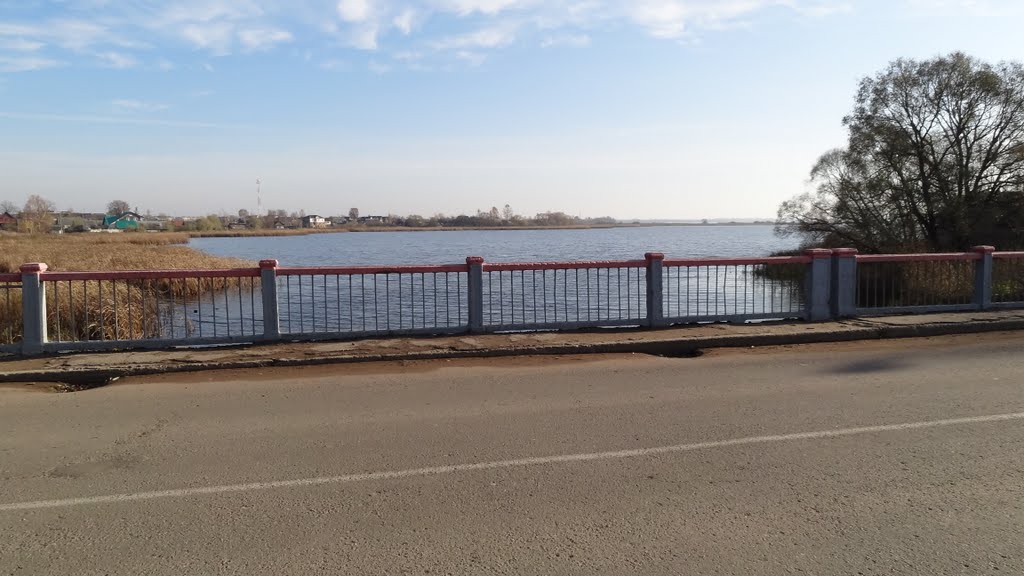 Полоцкий мост, Невель