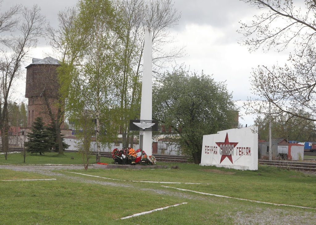 Новосокольники. Памятник. Novosokolniki. Monument, Новосокольники
