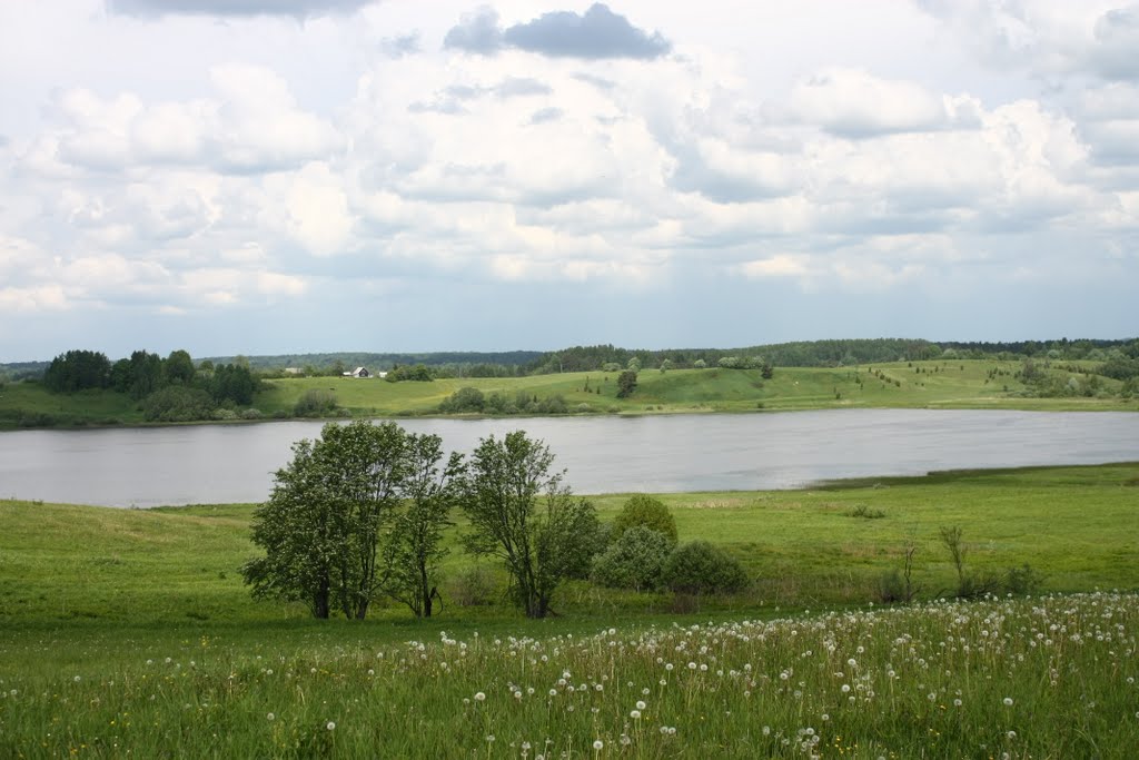 Lake "Ilmen", Остров