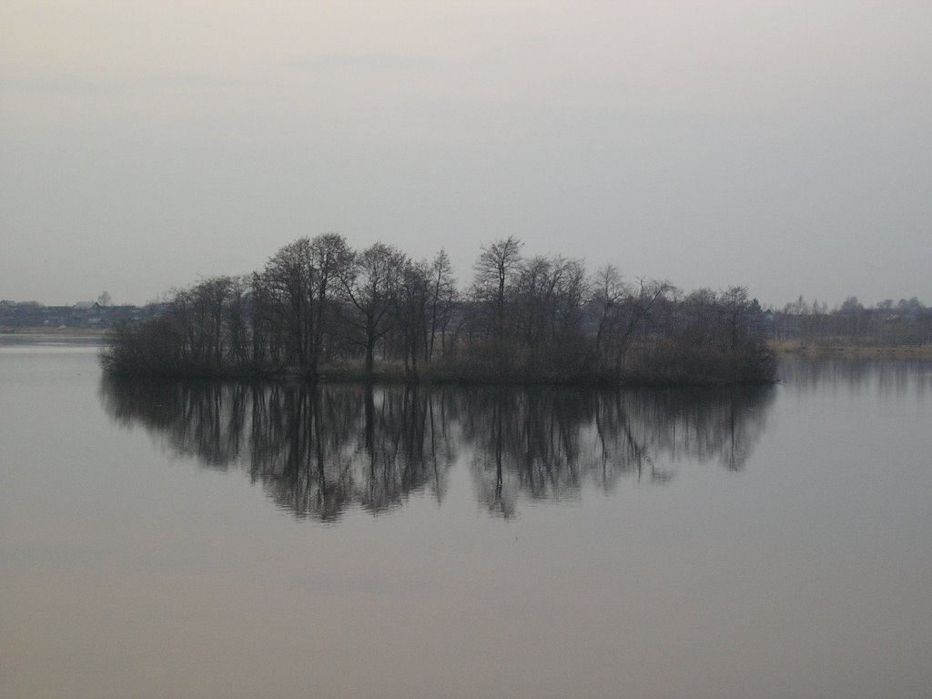 Смолинское озеро, Палкино
