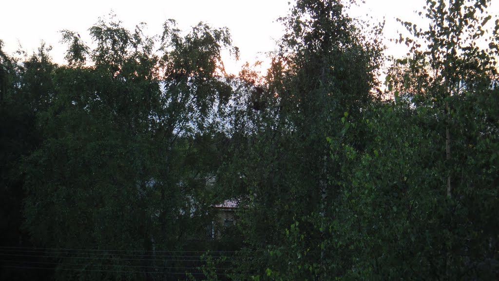 Вид с балкона д.4 кв 42 по ул, Псковская, Палкино