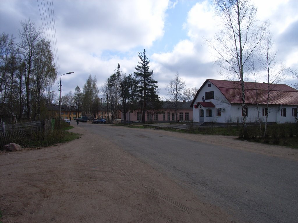 Поселок Плюсса: Фотогалерея