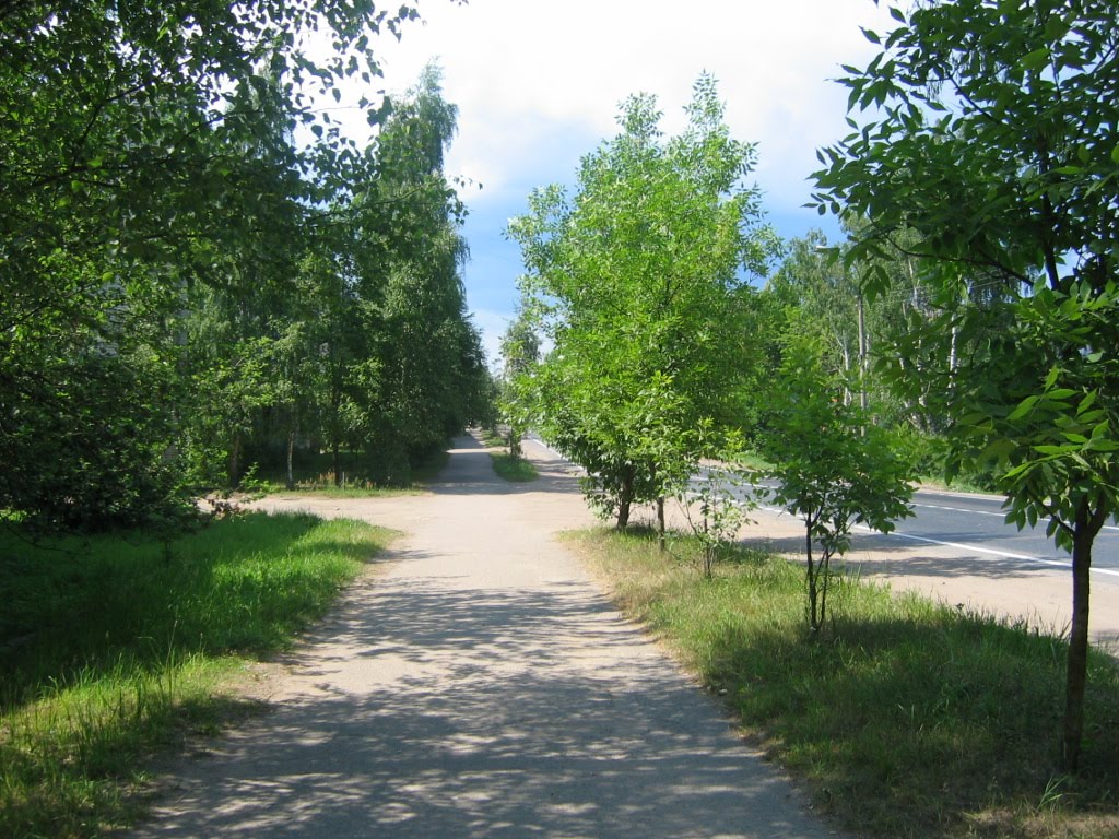 Псковская область, Пустошка, 2005, Пустошка