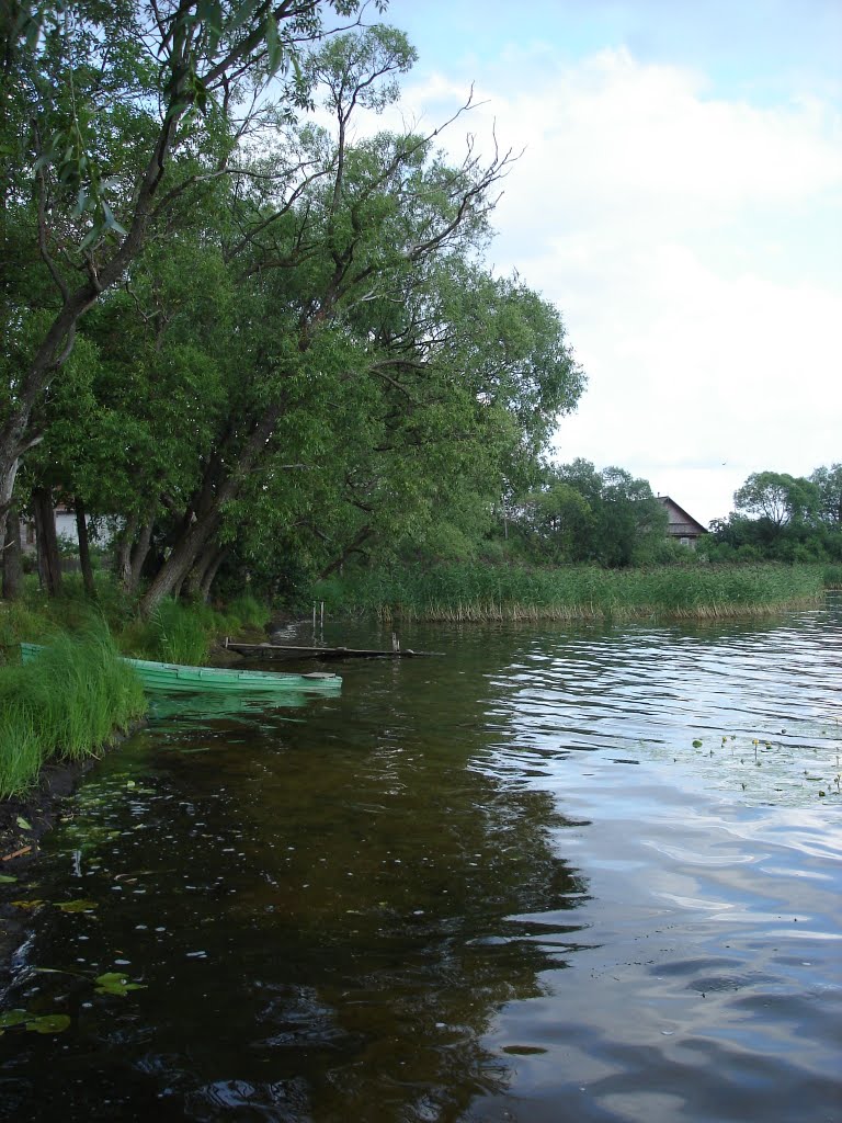 г. Пустошка, озеро, 2007, Пустошка