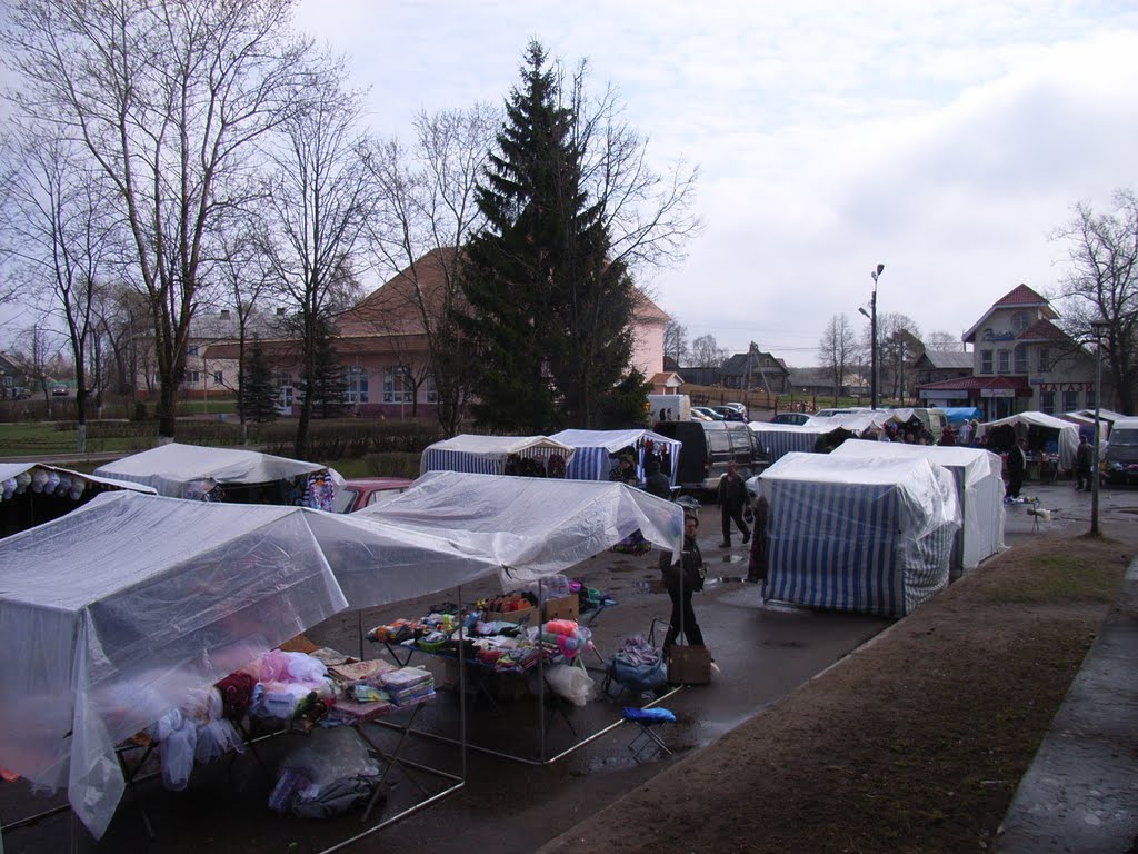 Струги Красные Магазины
