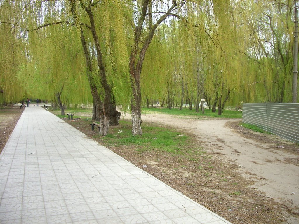Azov 2008., Азов