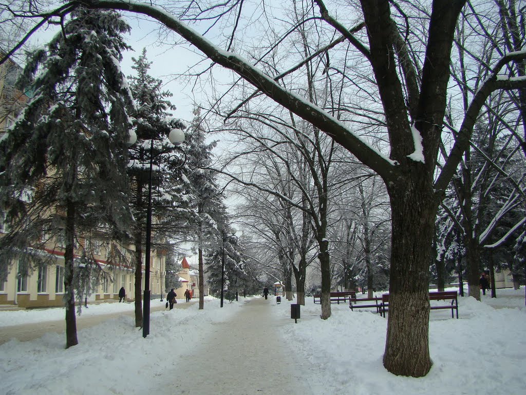 Азов в снегу, Азов