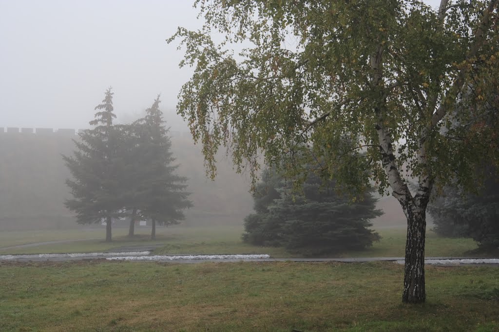 Осенний туман. Autumn fog., Азов