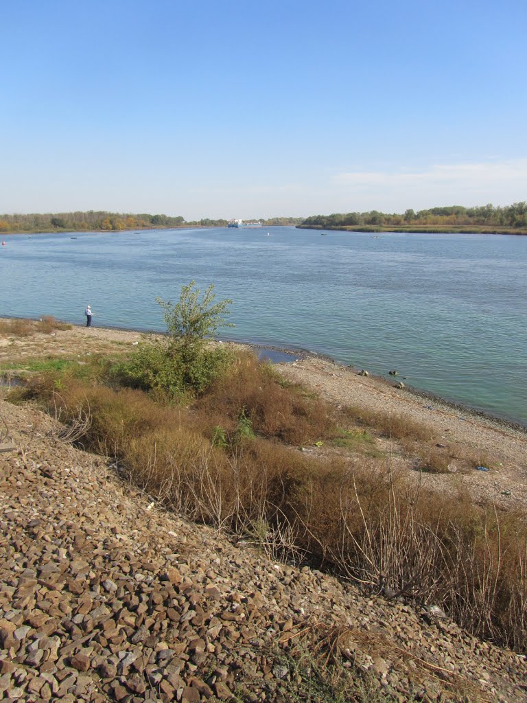 Дон фото отзывы Дон фото отзывы