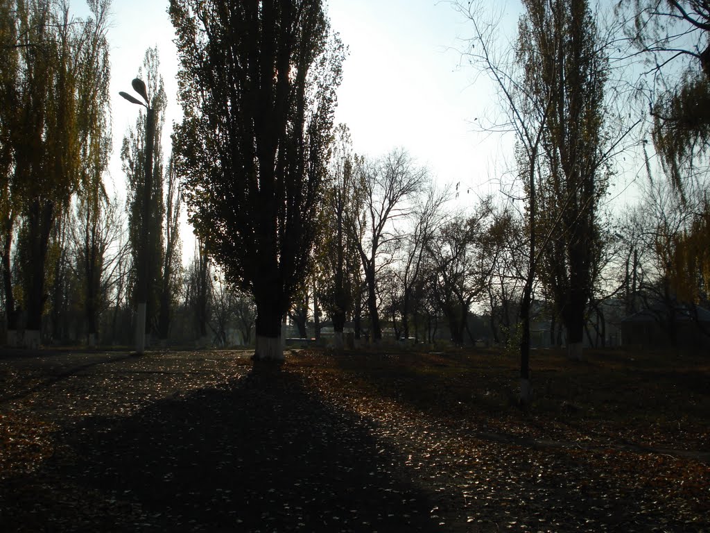 Park near school, Алмазный