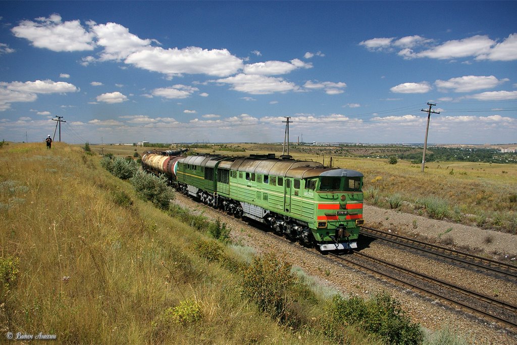 Diesel locomotive 2TE116-861/666 with train, Аютинск
