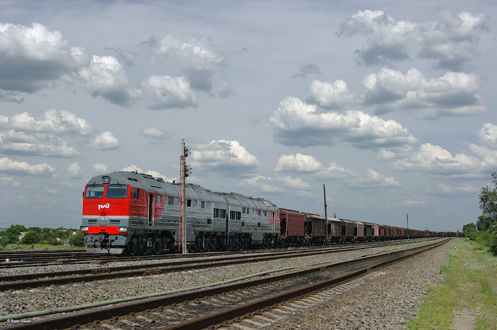 Diesel locomotive 2TE116U-0135 with cargo train on passing train Vasilievsky, Аютинск